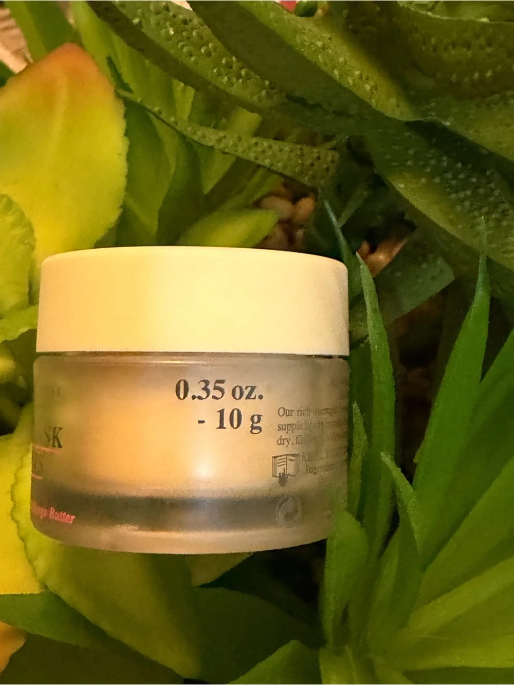 Kiehl's Buttermask-overnight lips treatment-with Coconut Oil & Wild Mango Butter